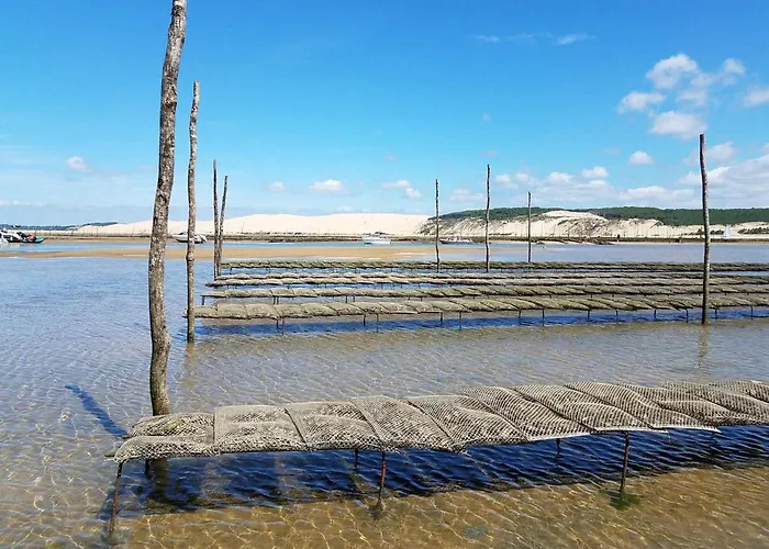 T4 Duplex Centre Arcachon, Terrasse Sud, Proche Et Commerces, Parking Inclus - Fr-1-474-3